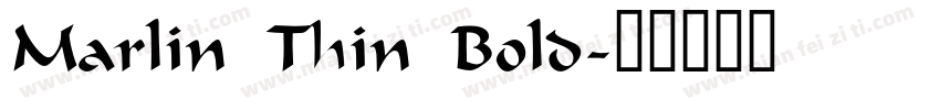 Marlin Thin Bold字体转换